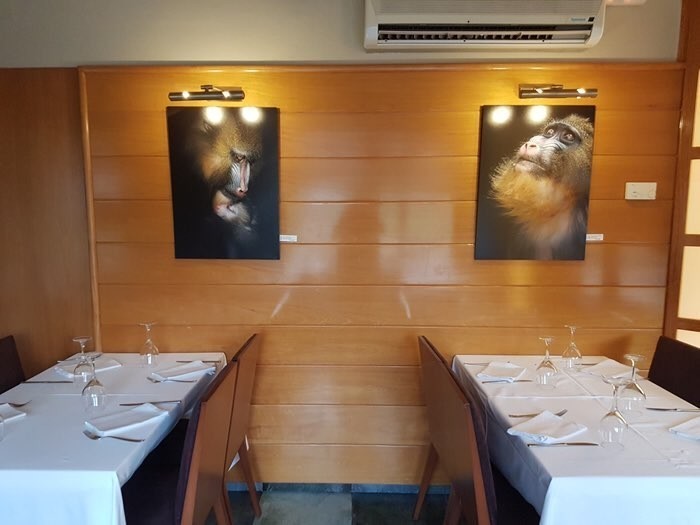 HOTEL RESTAURANTE PICASSO - COSTA BRAVA - Noviembre - Marzo 2019