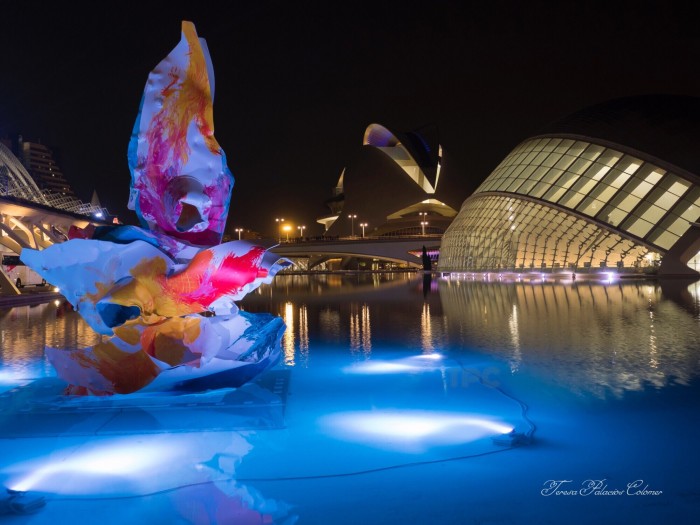 Ciudad de las Ciencias - Valencia