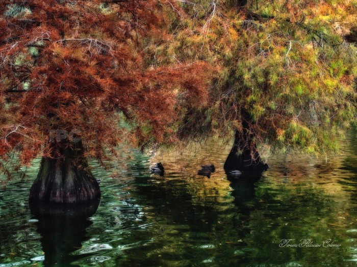 Parque del Retiro en otoño