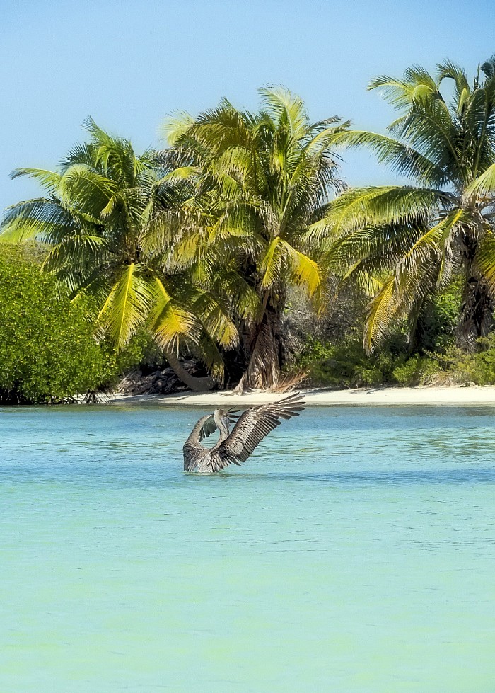 Isla Contoy