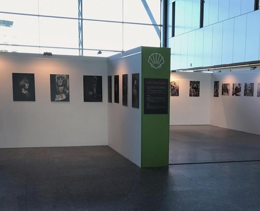 Exposición Aeropuerto De Santiago en 2019
