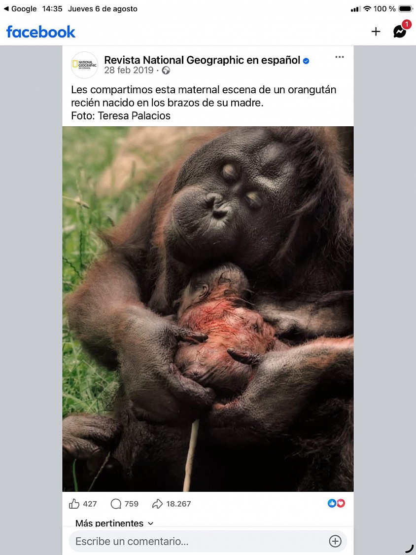 Revista National Geographic en Español